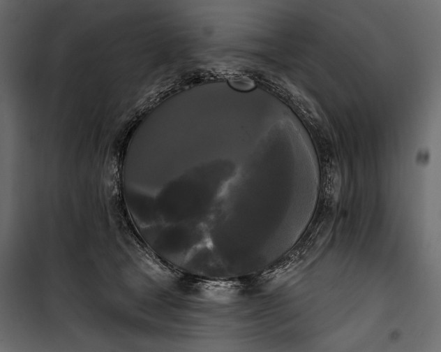 X0000100330465200806191112