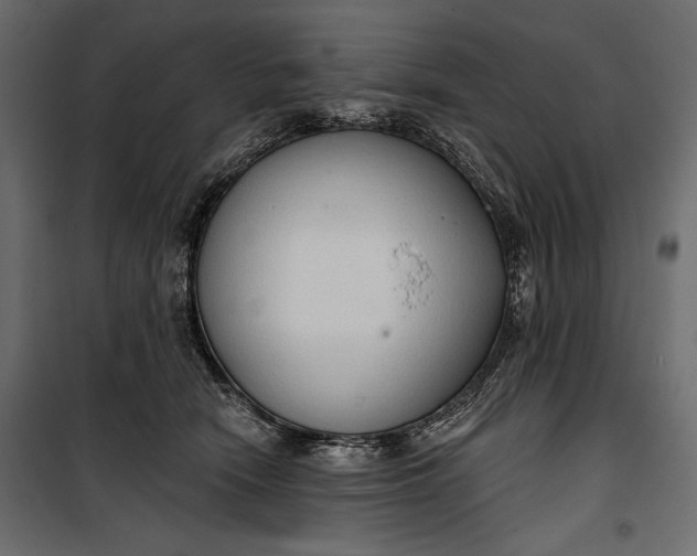 X0000100330466200806191112