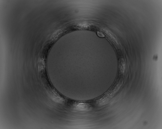 X0000100330467200806191112