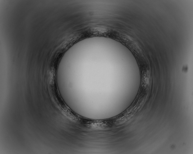 X0000100330468200806191112