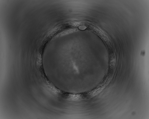 X0000100330469200806191112