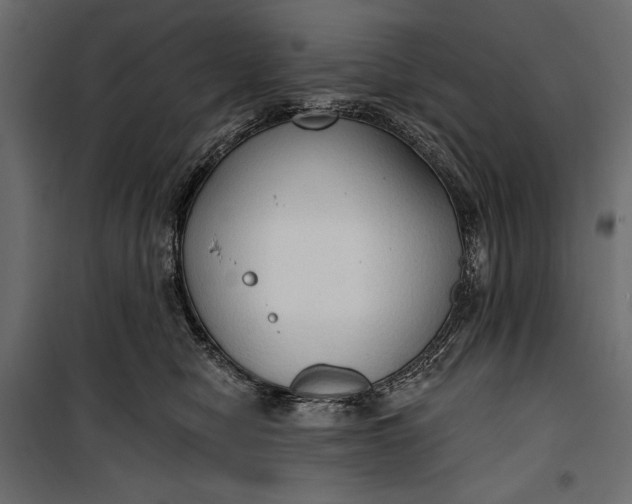 X0000100330470200806191112