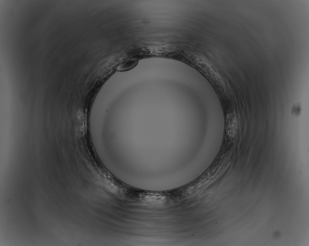 X0000100330471200806191112