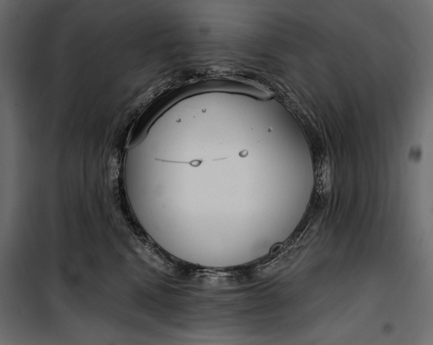 X0000100330472200806191112