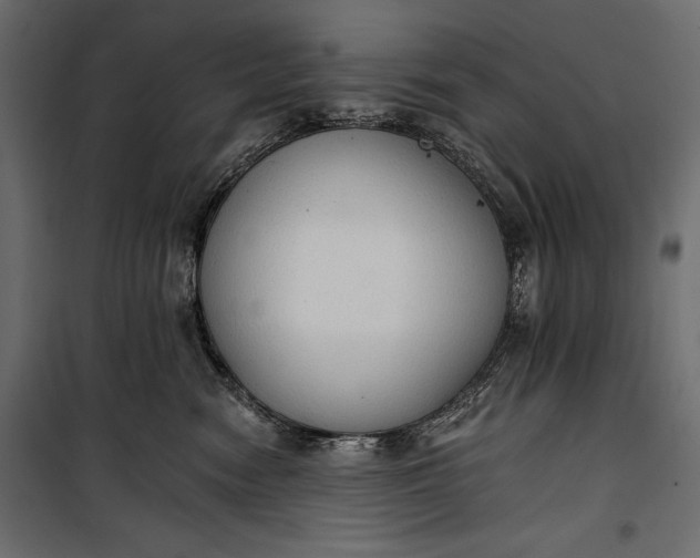 X0000100330474200806191112