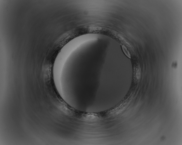 X0000100330475200806191112