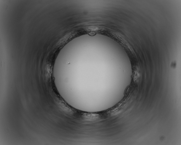 X0000100330476200806191112