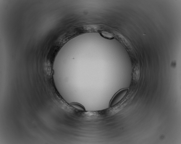 X0000100330477200806191112