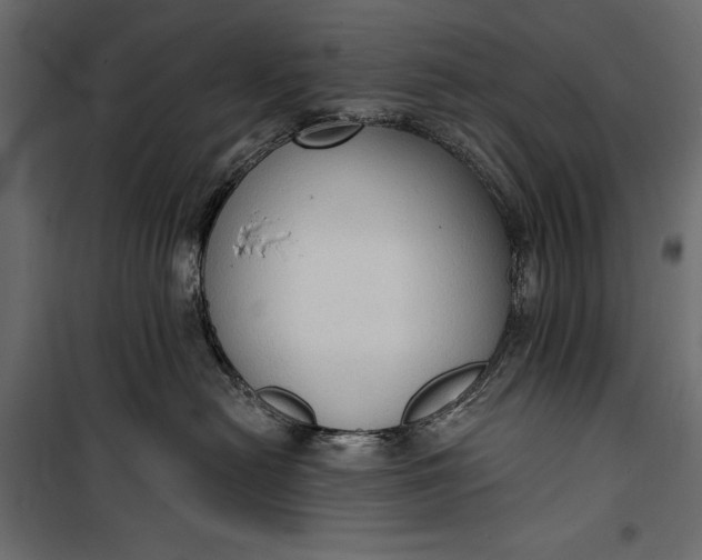 X0000100330478200806191112