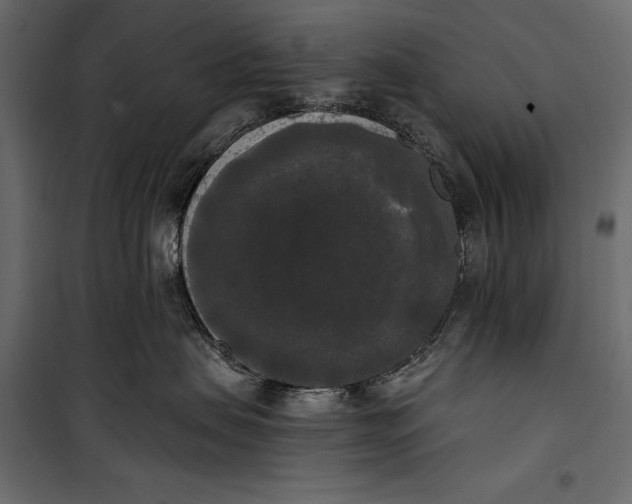 X0000100330479200806191112