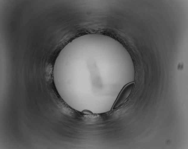 X0000100330480200806191112