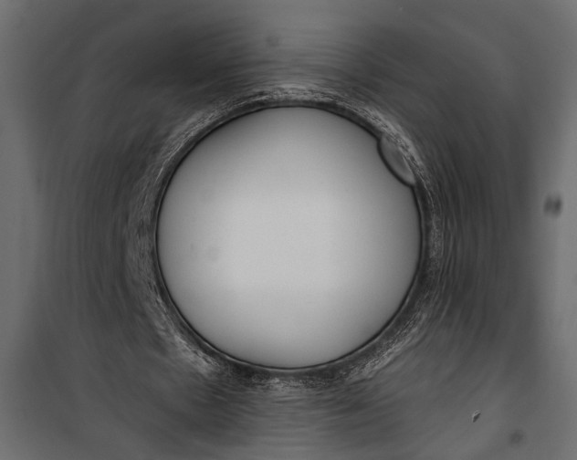 X0000100330481200806191112