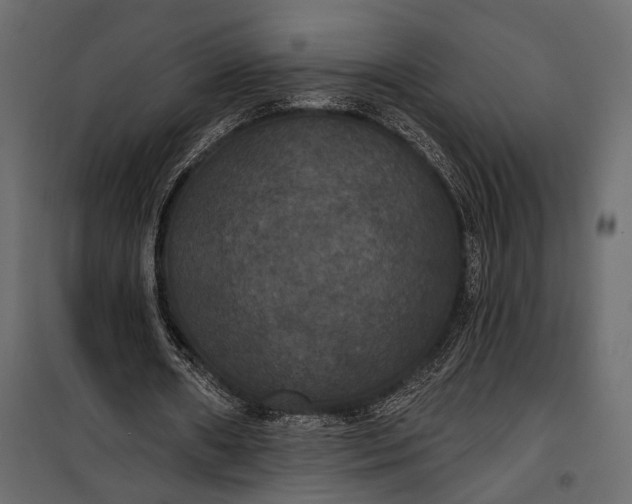 X0000100330482200806191112