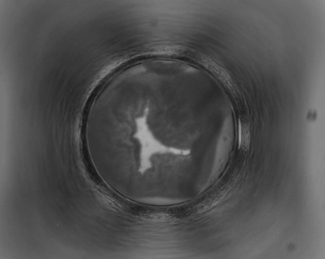 X0000100330483200806191111