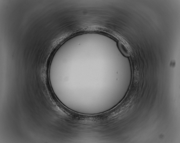 X0000100330485200806191111