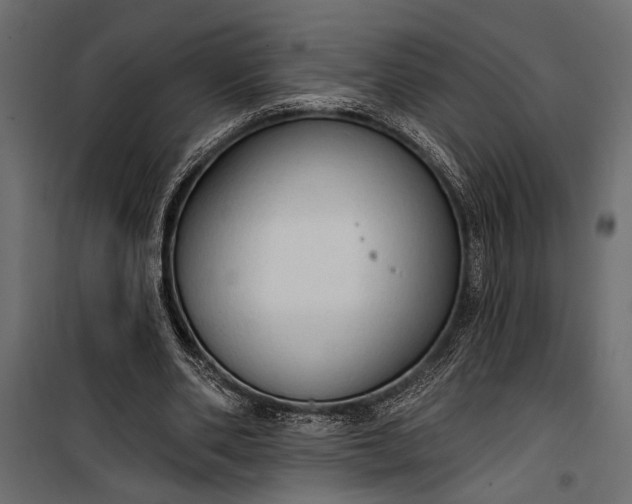 X0000100330486200806191111