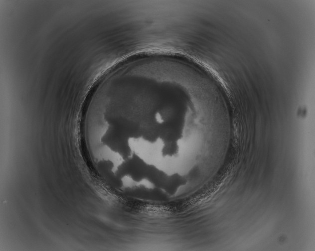 X0000100330487200806191111