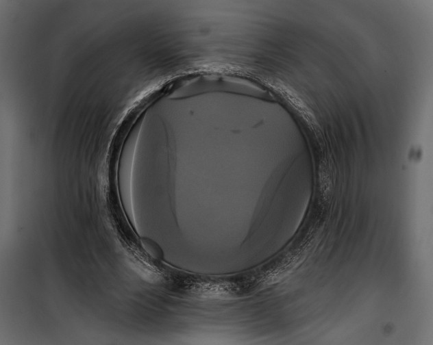 X0000100330488200806191111