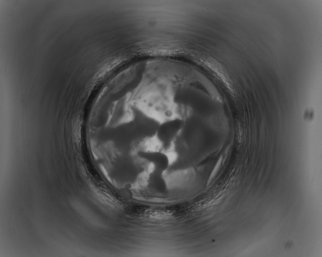 X0000100330491200806191111