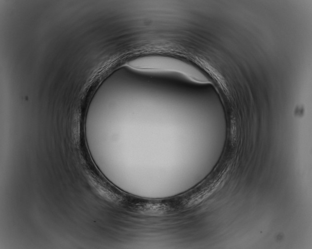 X0000100330493200806191111