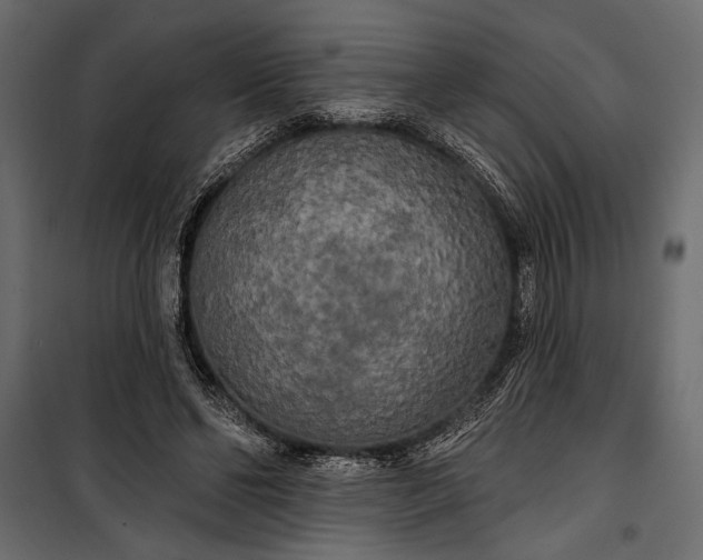 X0000100330494200806191111