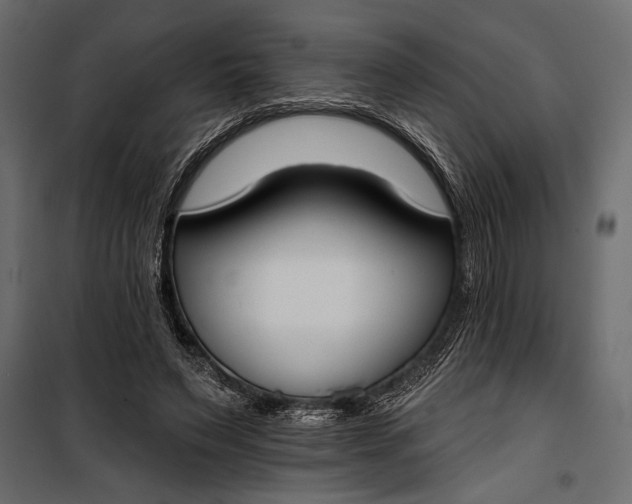 X0000100330495200806191111