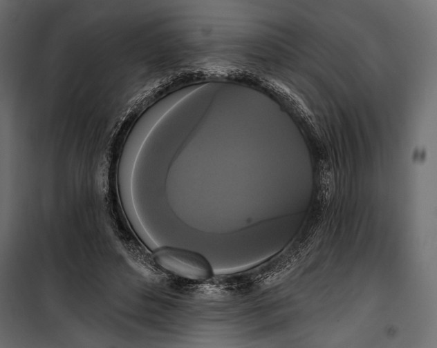 X0000100330496200806191111