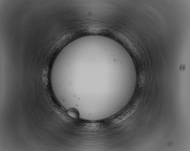 X0000100330497200806191111