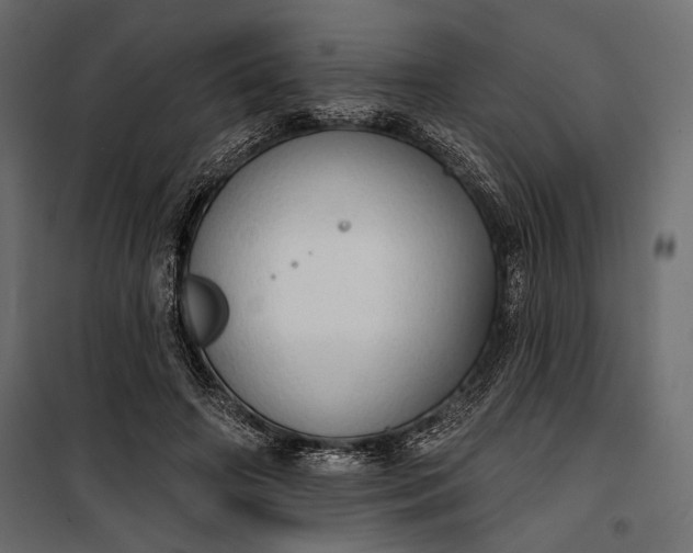 X0000100330498200806191111