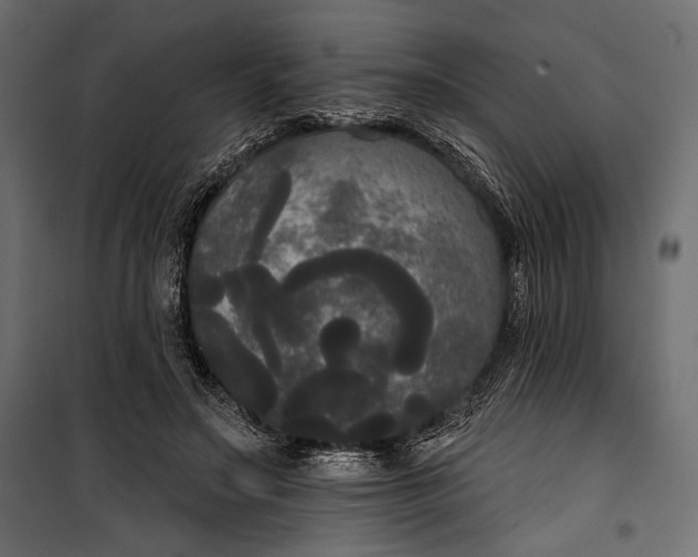 X0000100330499200806191111