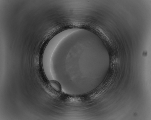 X0000100330500200806191111