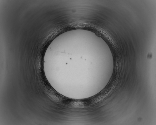 X0000100330501200806191111