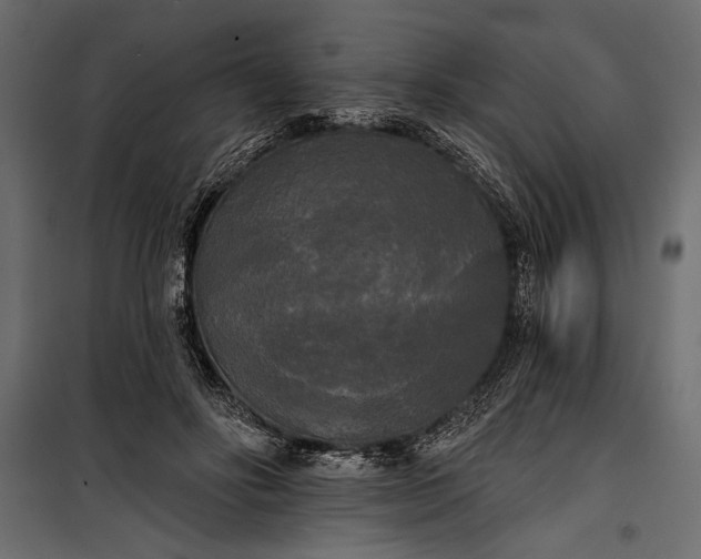 X0000100330502200806191111