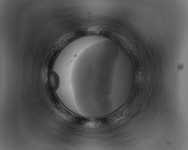 X0000100330504200806191111