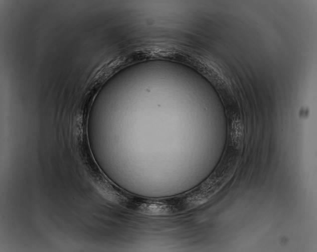 X0000100330506200806191111