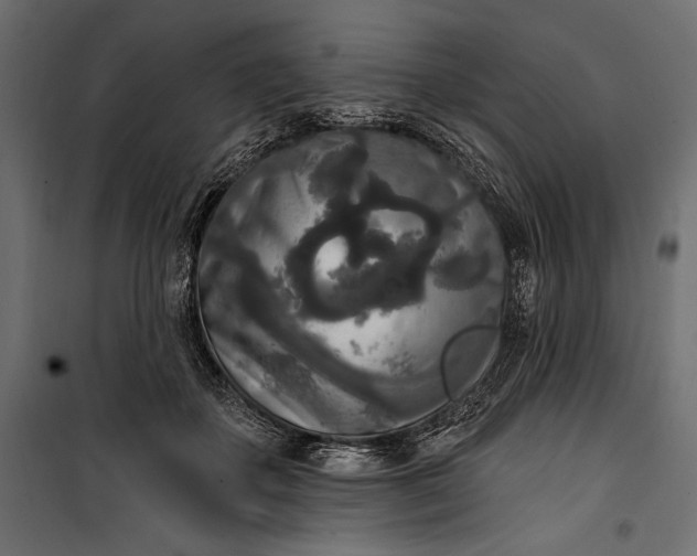 X0000100330507200806191111