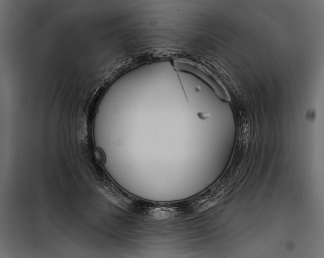 X0000100330508200806191111