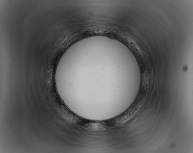 X0000100330509200806191111