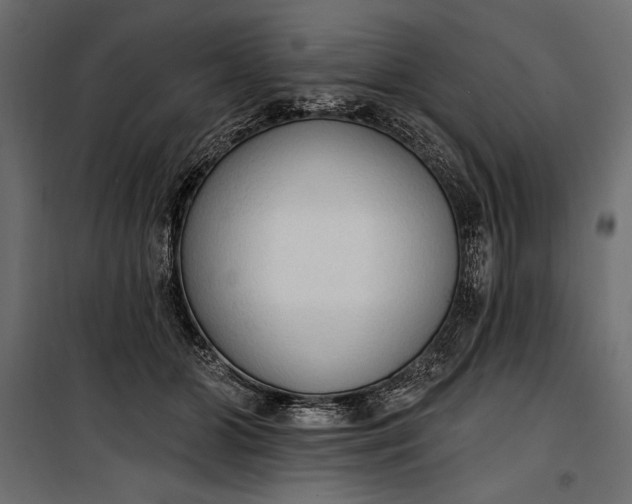 X0000100330510200806191111