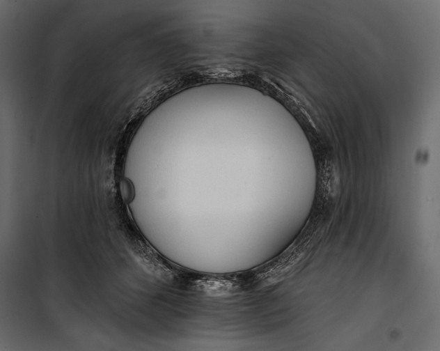 X0000100330512200806191111