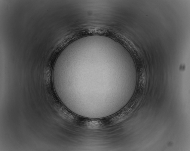 X0000100330513200806191111