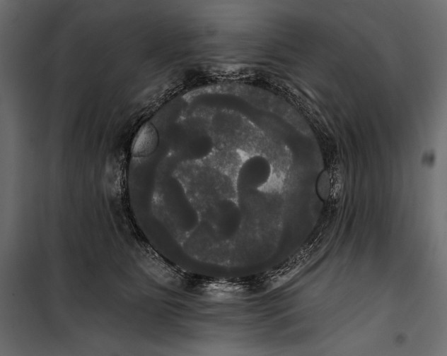 X0000100330515200806191111