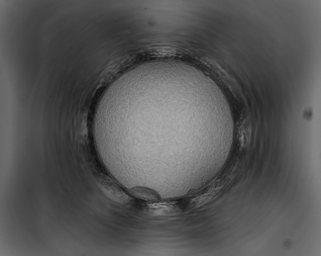 X0000100330516200806191111