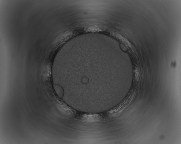 X0000100330517200806191111