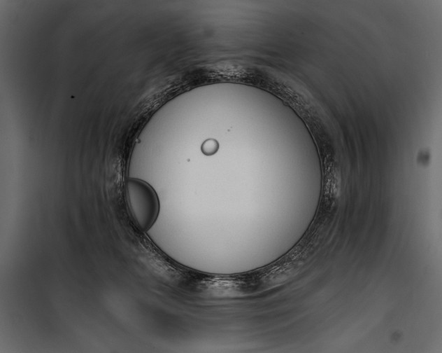 X0000100330518200806191111