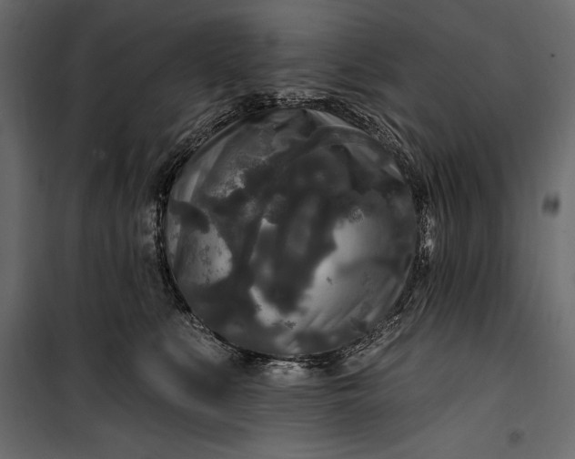 X0000100330519200806191111