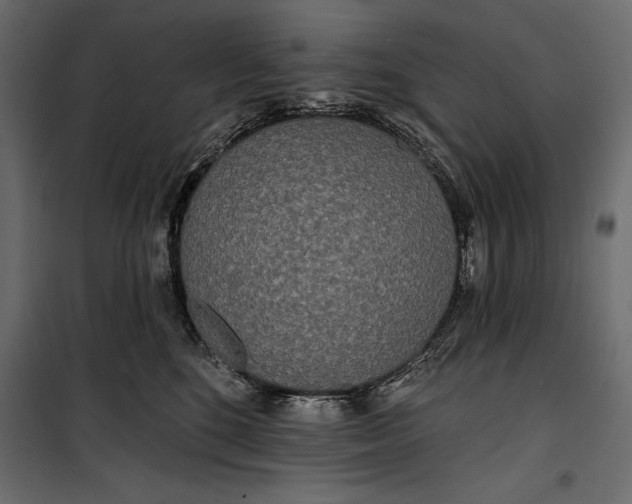 X0000100330520200806191111