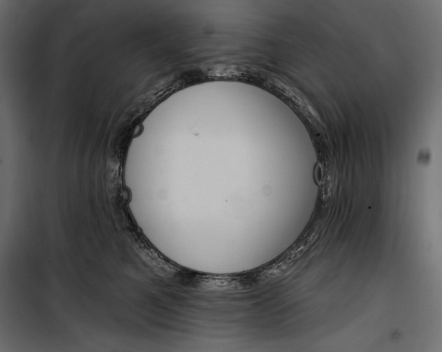 X0000100330521200806191111