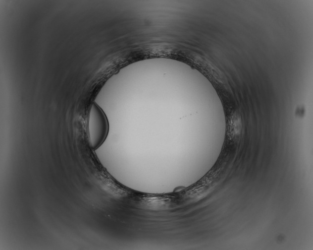 X0000100330522200806191111