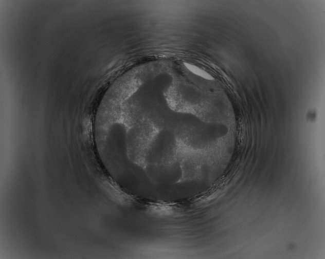 X0000100330523200806191111